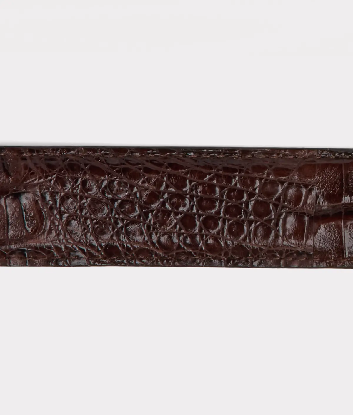 Buster Belt :: Chocolate 4