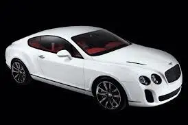 Carro Colecionavel Bentley Continental Supersports Escala  1:24 1