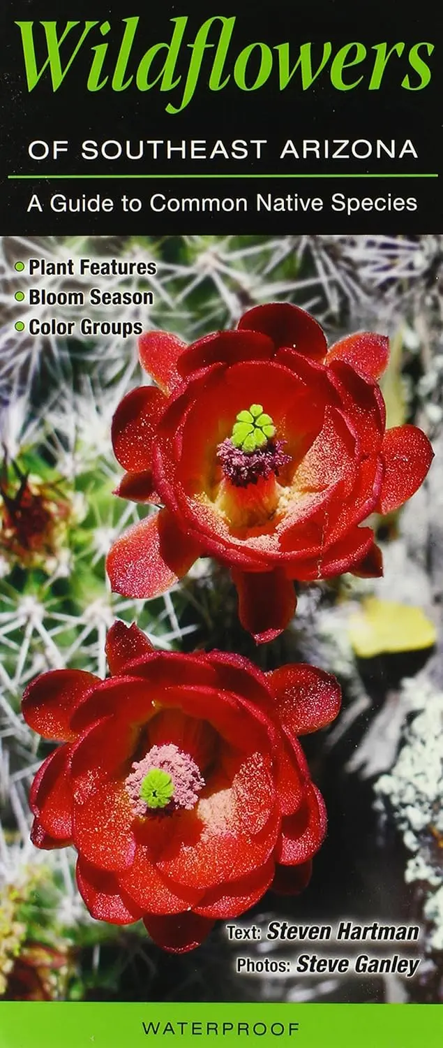 Wildflowers Of Southeast Arizona: A Guide To Common Native Species (Quick Reference Guides) 1