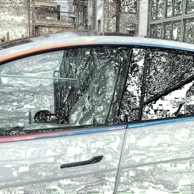 Model Y Juniper Protector Strips Iridescent Color Window & Mirror Trim Strip... 2