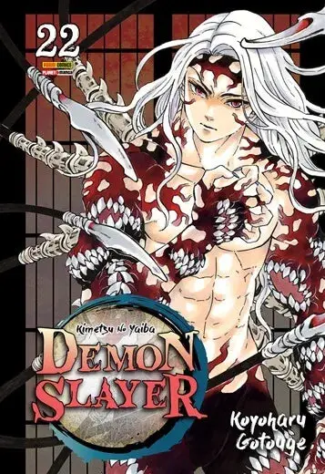 Demon Slayer Vol. 22 1