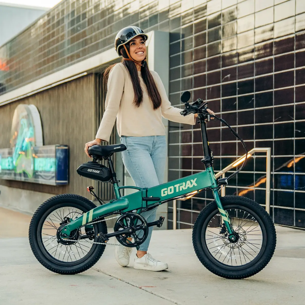 F1 Folding Electric Bike 2.0 2