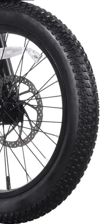 F2/R2 Electric Bike Tires 1