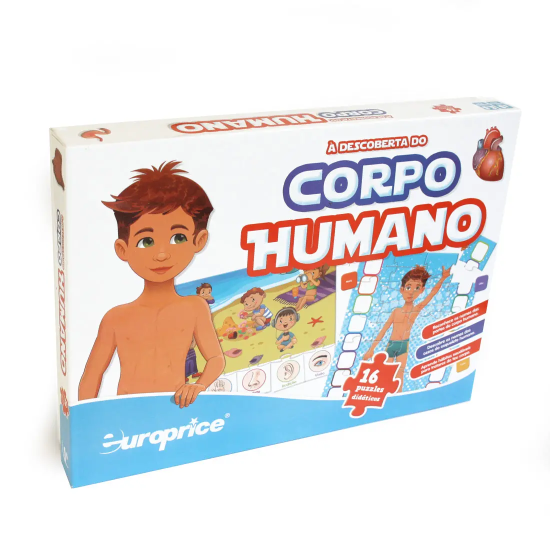 Jogo À Descoberta Do Corpo Humano 1