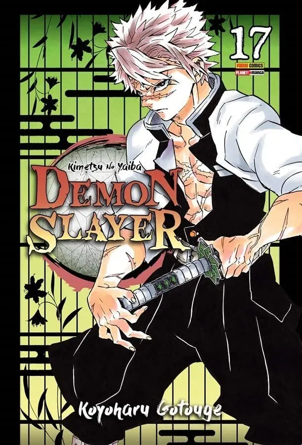 Demon Slayer Vol. 17 1