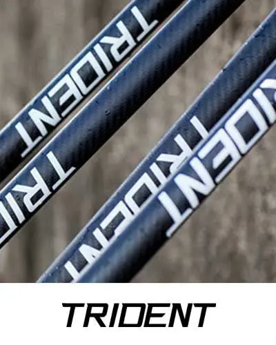 Trident Paddles 1