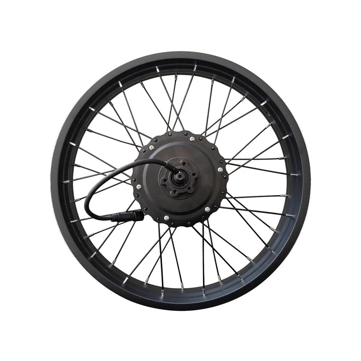 R2/F2 Electric Bike Motor Wheel Assembly 1