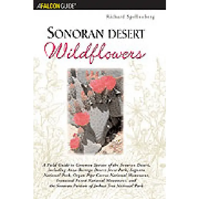 Sonoran Desert Wildflowers 1