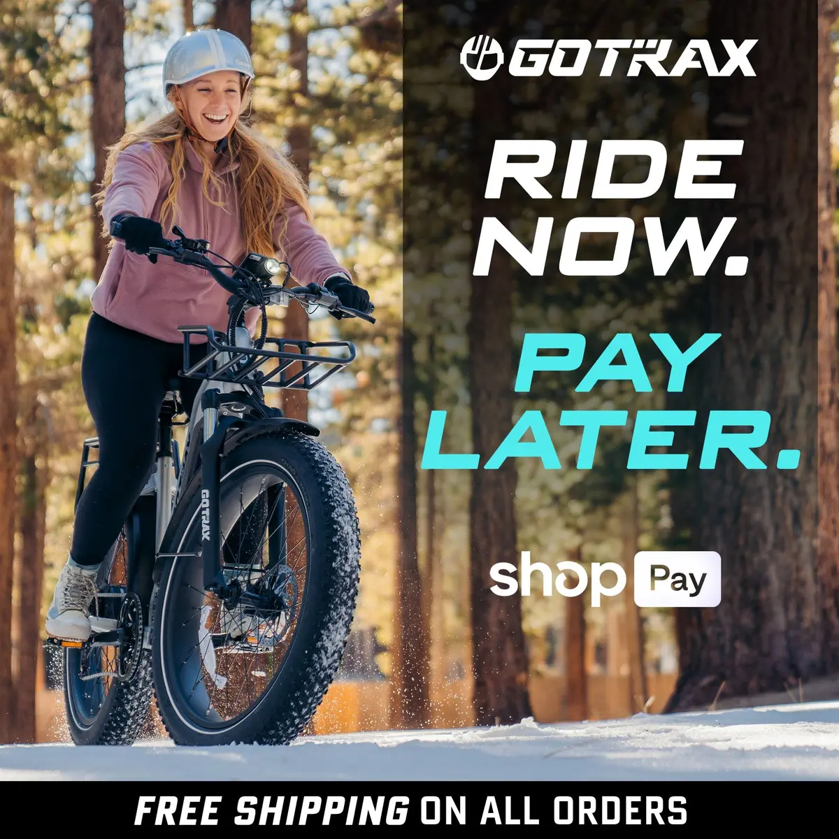 Tundra Fat Tire Electric Bike 3