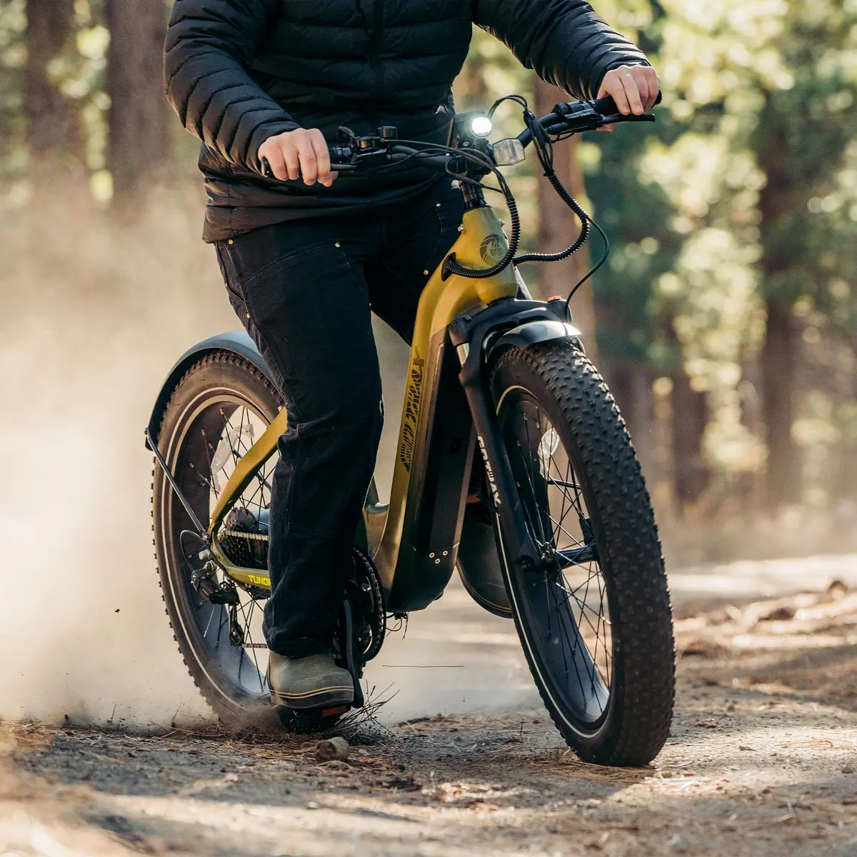 Tundra Fat Tire Electric Bike 2
