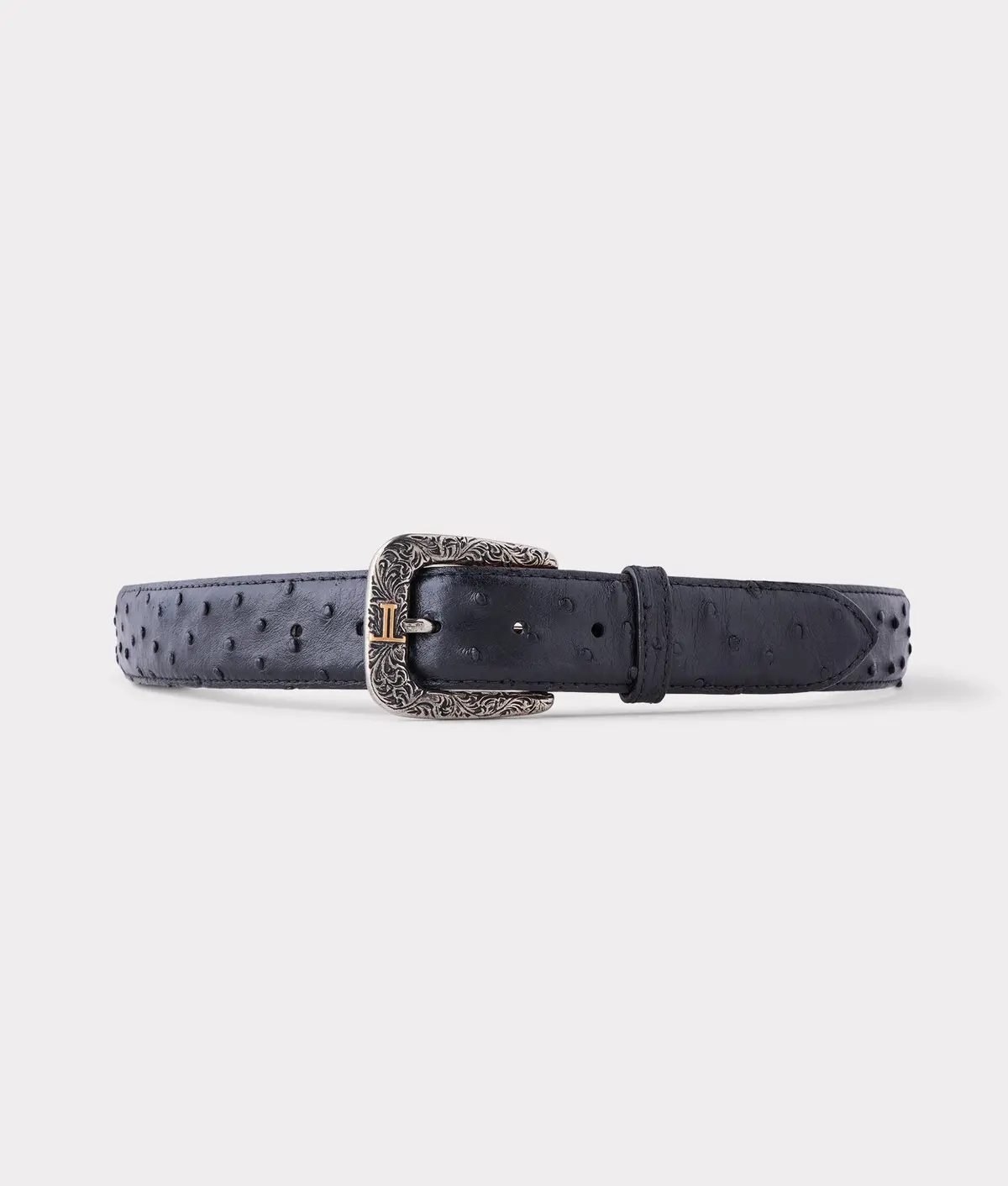 Full Quill Ostrich :: Black 1