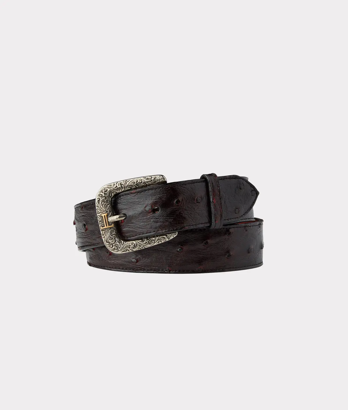 Full Quill Ostrich :: Black Cherry 1