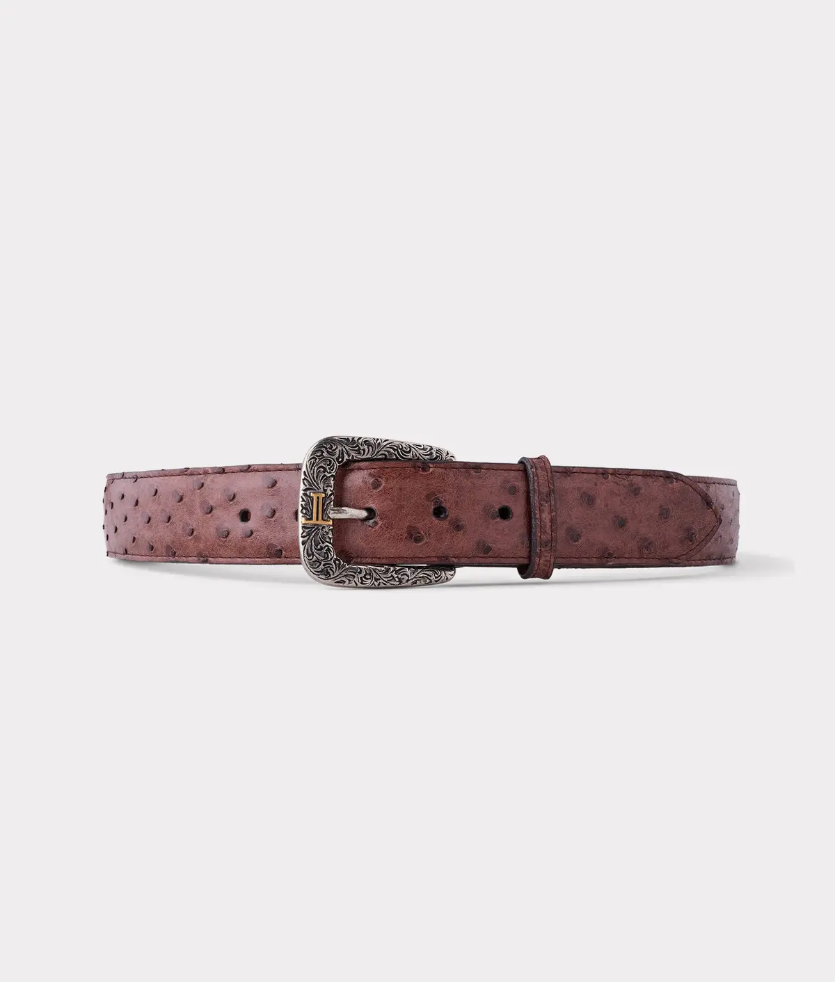 Full Quill Ostrich :: Sienna 1