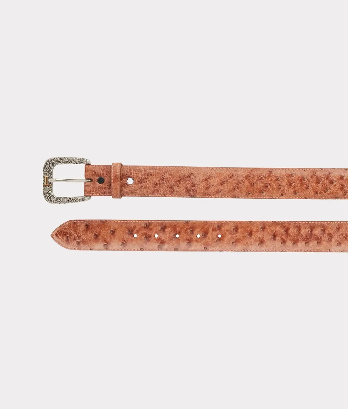 Full Quill Ostrich :: Barnwood 3