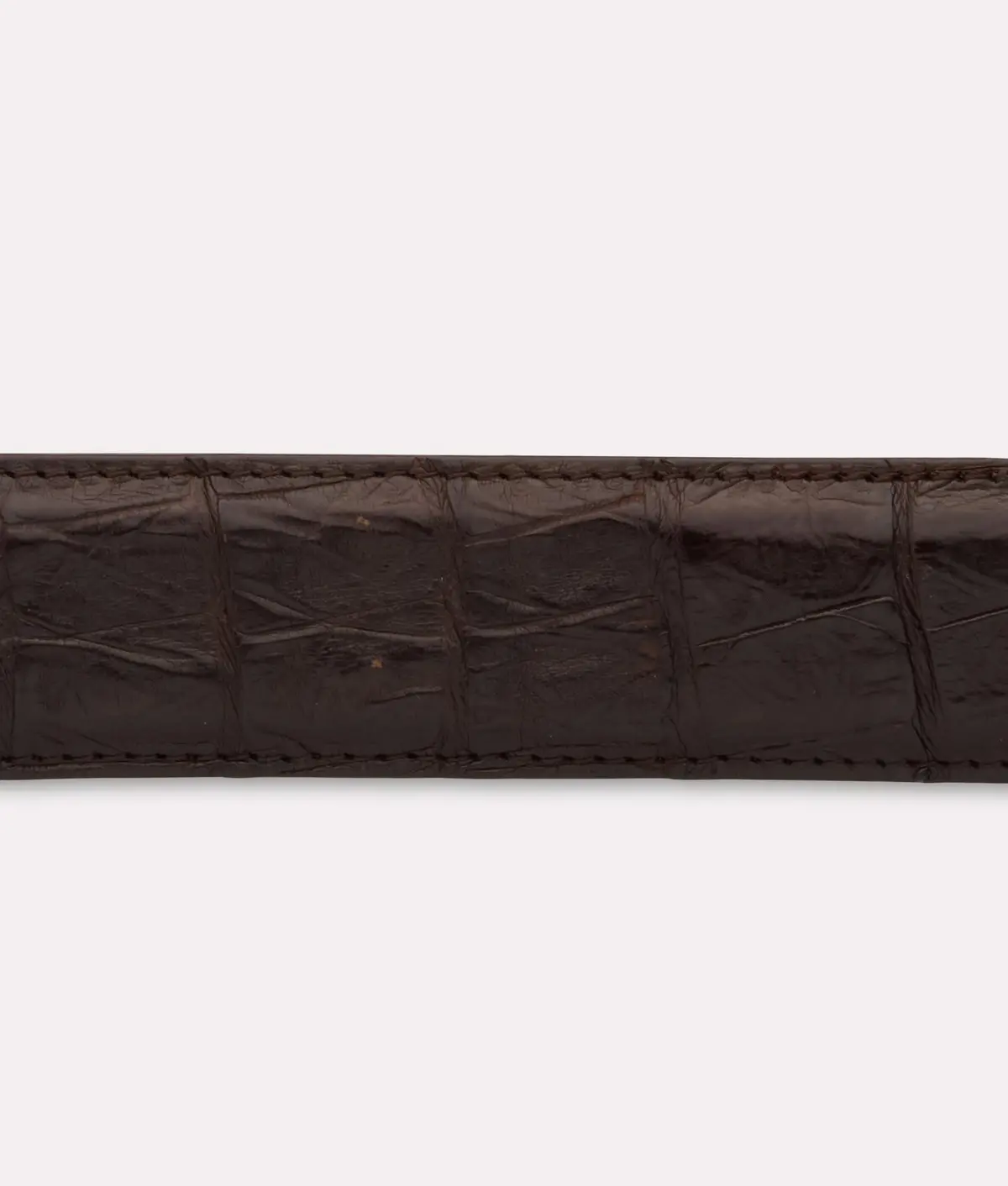 Ultra Belly Caiman :: Chocolate 4