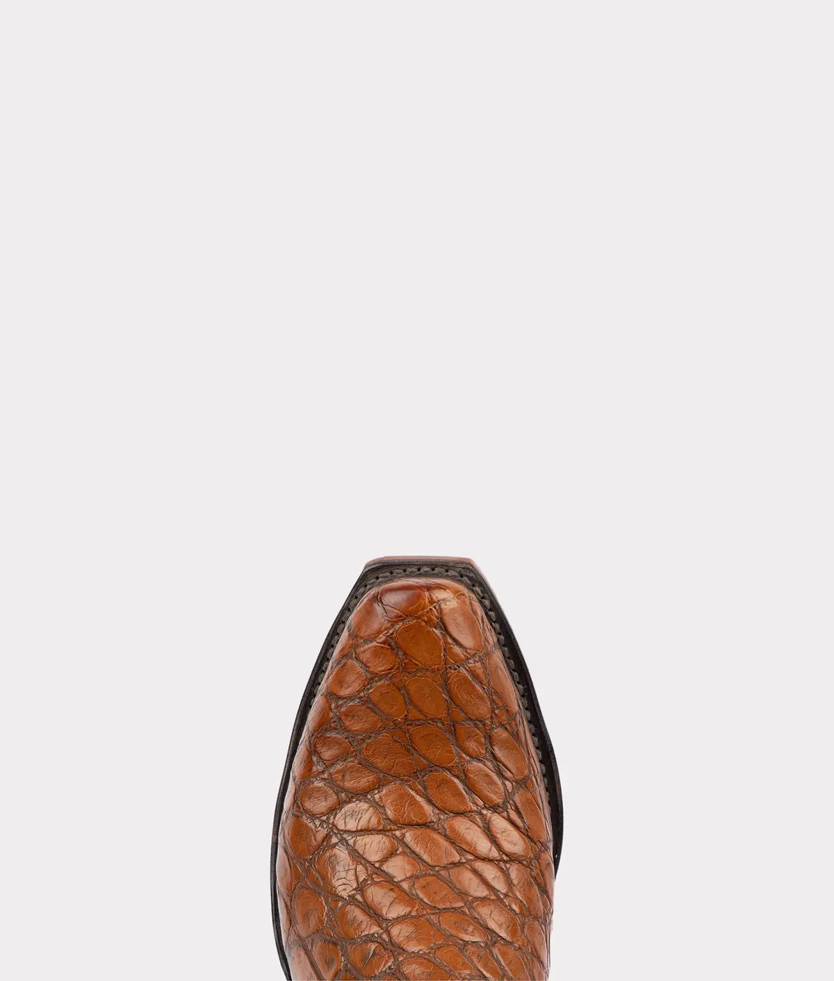 Johannes :: Cognac 6