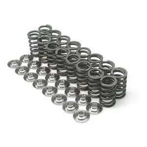 Brian Crower Dual Valve Spring Kit For Honda/Acura B18A, B18B & B20B Engines 1